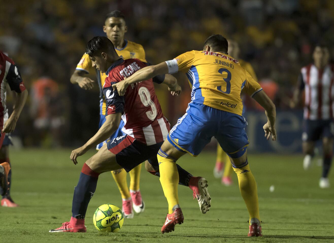 CHIVAS DE GUADALAJARA - TIGRES