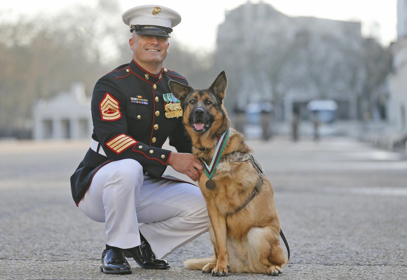 Gunnery sergeant Christopher Willingham, of Tuscaloosa, Alabama, USA, poses with retired US Marine dog Lucca, after receiving the PDSA Dickin Medal, awarded for animal bravery.
