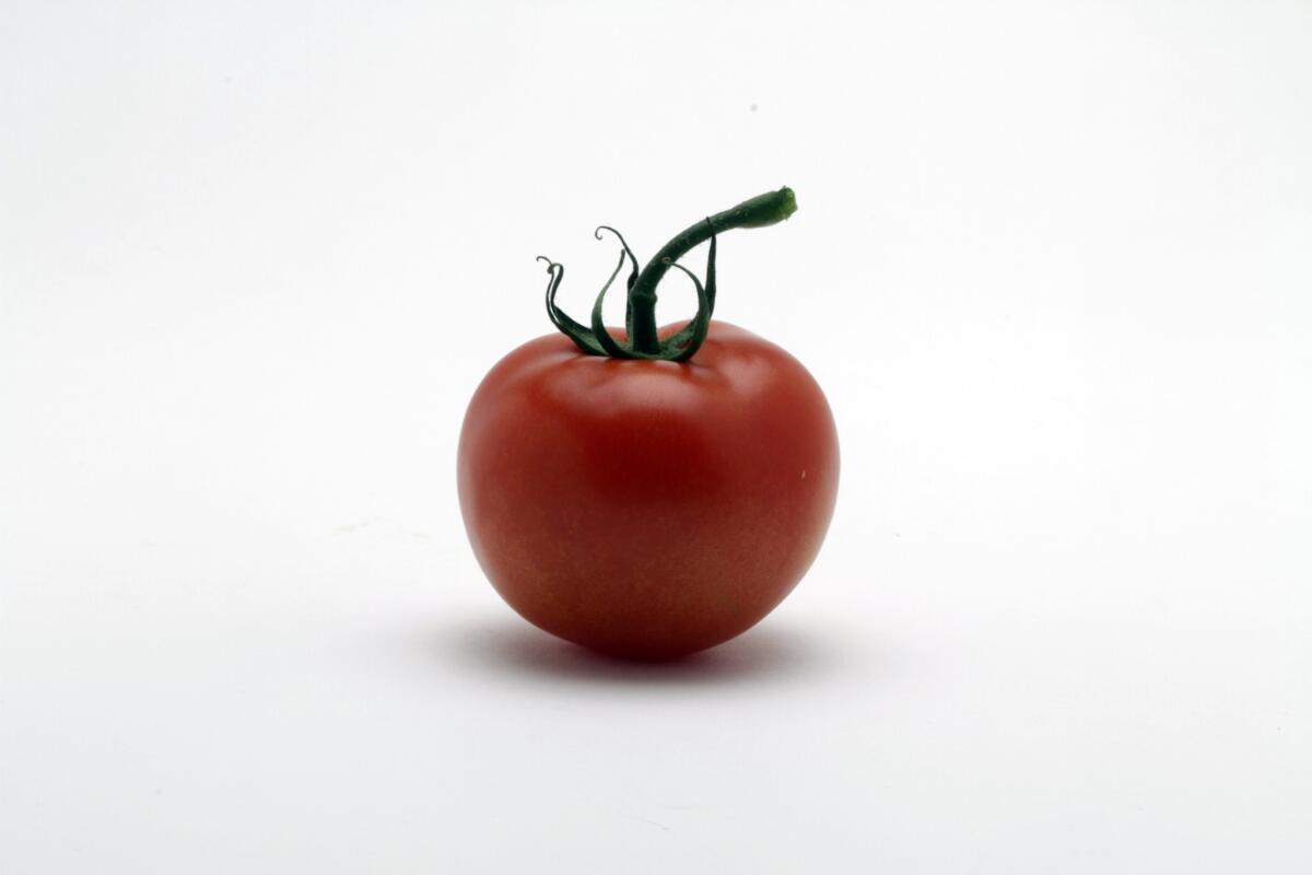 Should you refrigerate tomatoes? Times Food editor Russ Parsons has considered this.