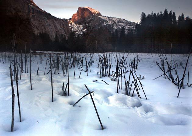 Winter in Yosemite