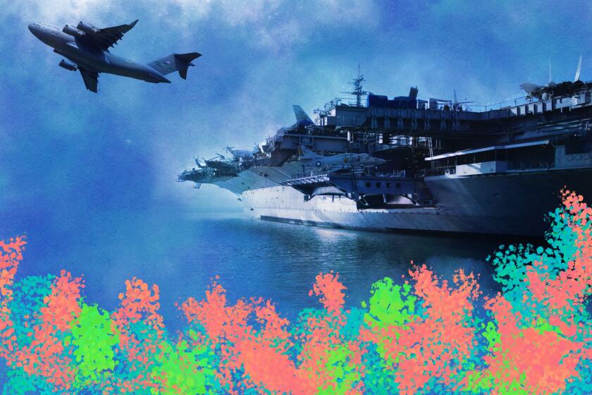 a coral reef drawn over an image of a military ship and plane