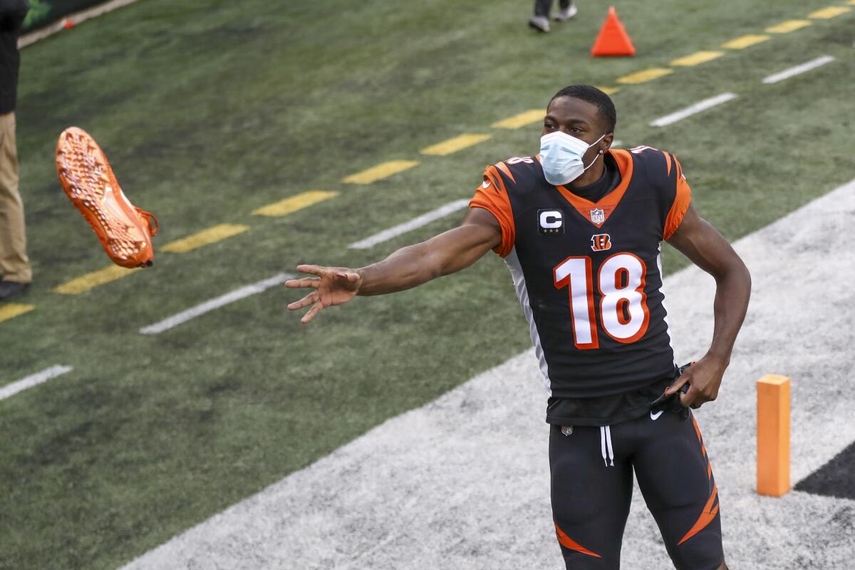 After Bengals limp to finish, Taylor gets vote of confidence - The