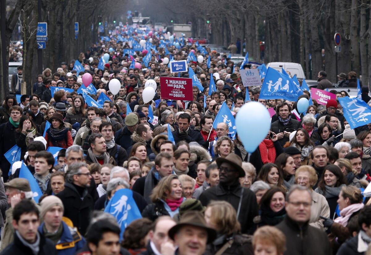 People take part in a protest against same-sex marriage in Paris on Jan. 13