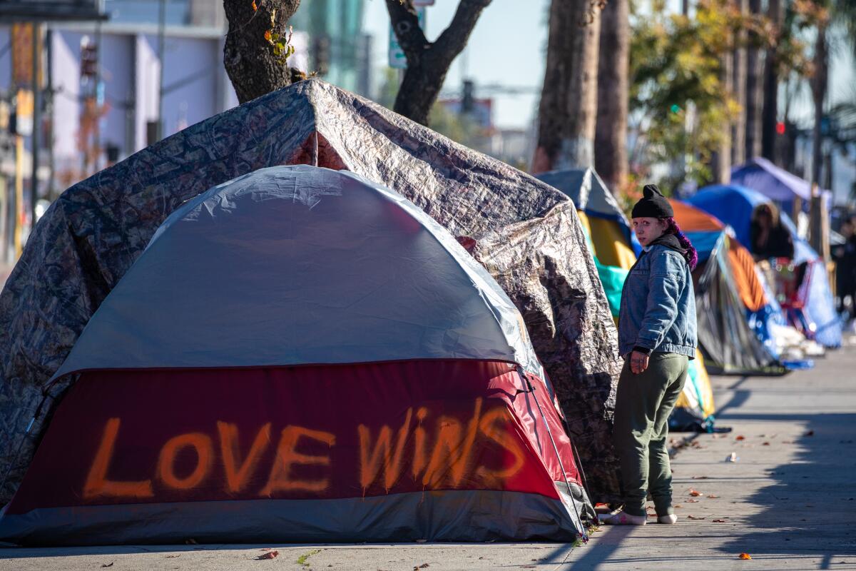 A homeless encampment on a sidewalk with a person next to one of the tents.