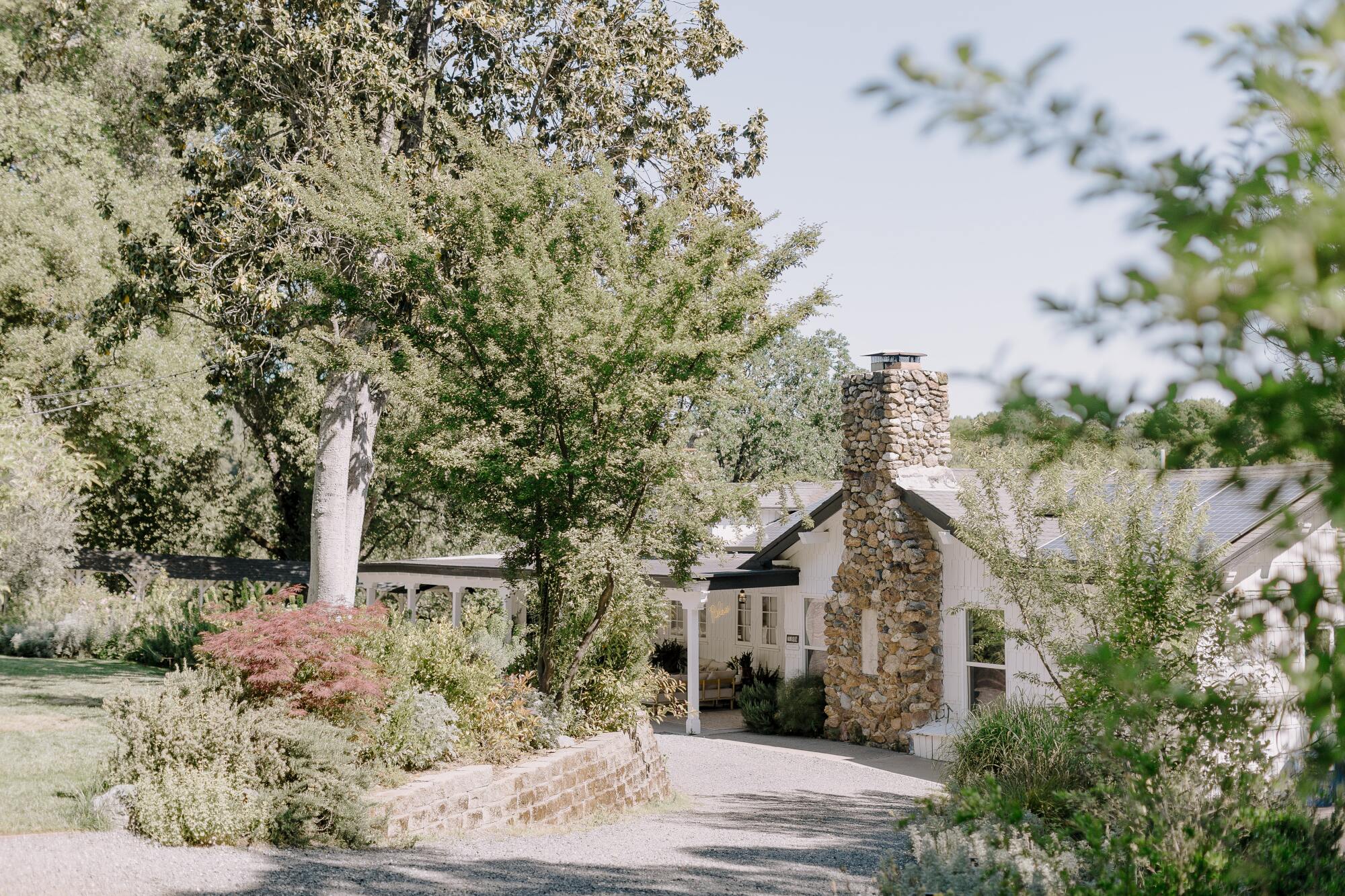 The view down a driveway past trees and shrubs at a white ranch-style house.