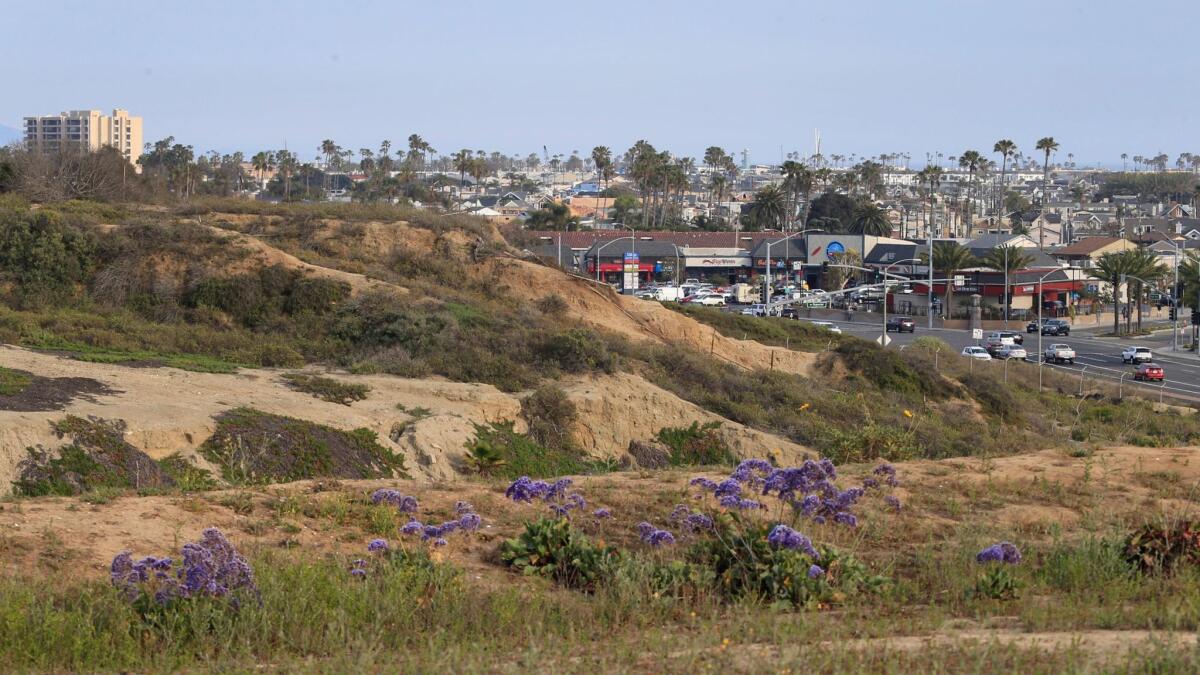 The bluffs of the 401-acre Banning Ranch property rise above Pacific Coast Highway in Newport Beach. Developers have been seeking to build homes, a shopping complex and a resort hotel on the site.