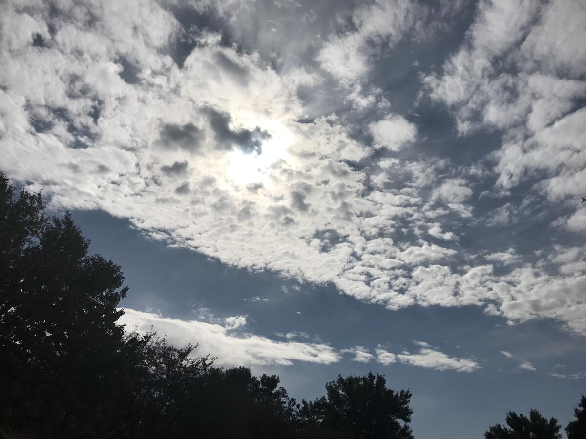 The prairie sky puts on a fine fall show: big clouds, puffy clouds. You could sprinkle some flour and bake these clouds.