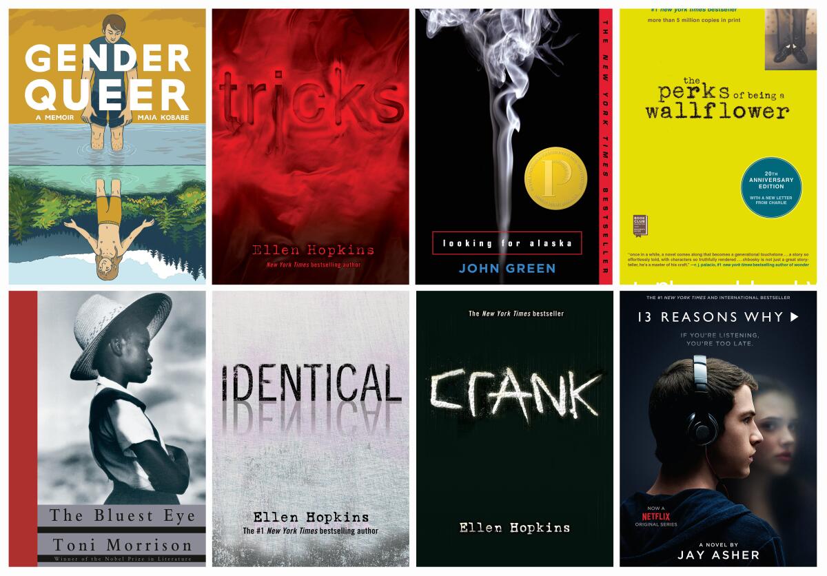 Eight book covers including "Gender Queer," "Identical" and "Crank."