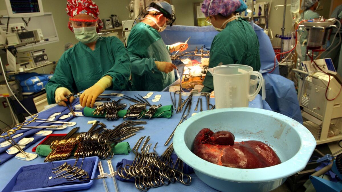 A surgical team at the Mayo Clinic in Jacksonville, Fla., prepares to transplant a liver into a patient. In a clinical trial, patients who received livers preserved at body temperature fared better than patients who got livers stored on ice.