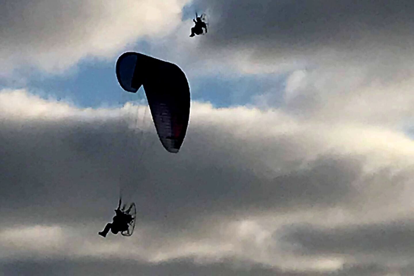 Ashley Bush Hang gliders at Westbourne.jpg
