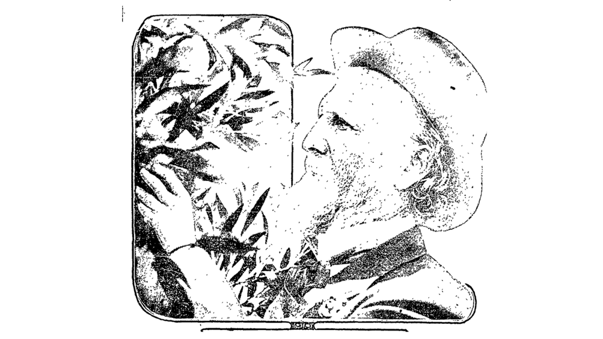  John Muir, world famous California naturalis following an attack of double pneumonia.