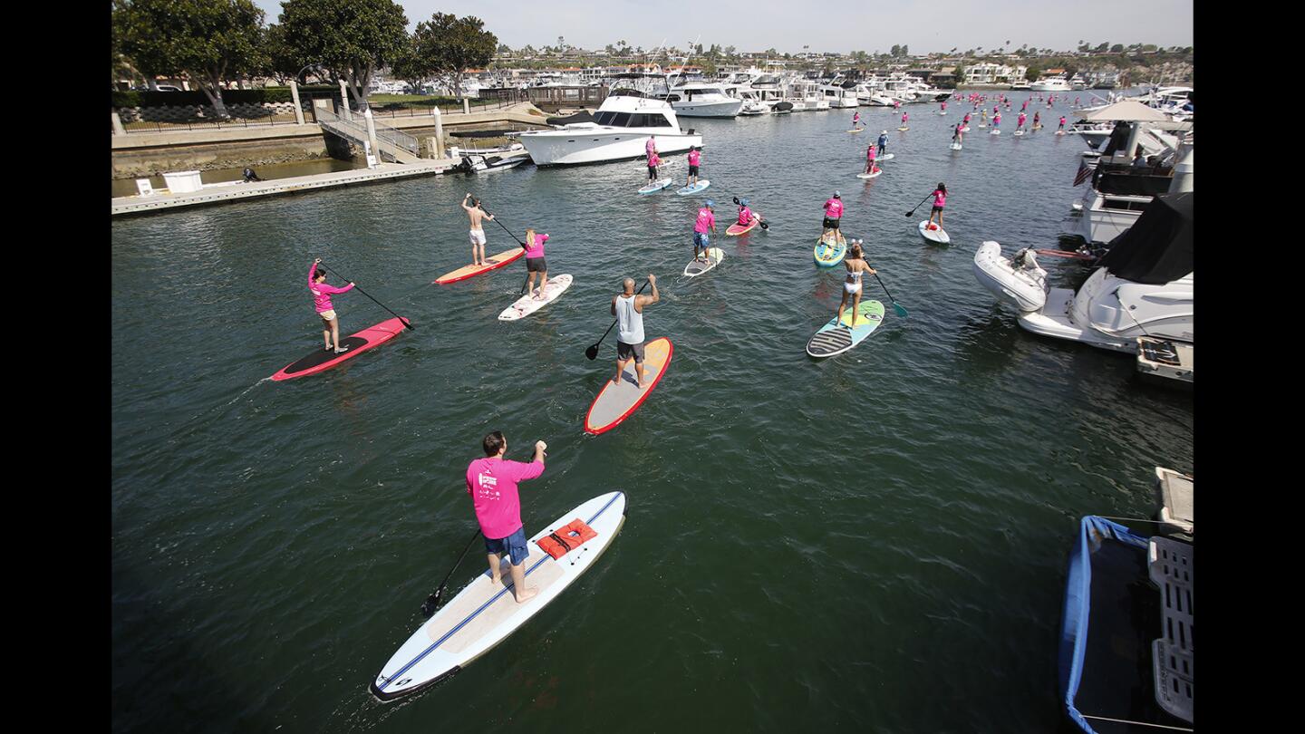 2018 Standup Paddle for the Cure "Sea of Pink" 5K paddle
