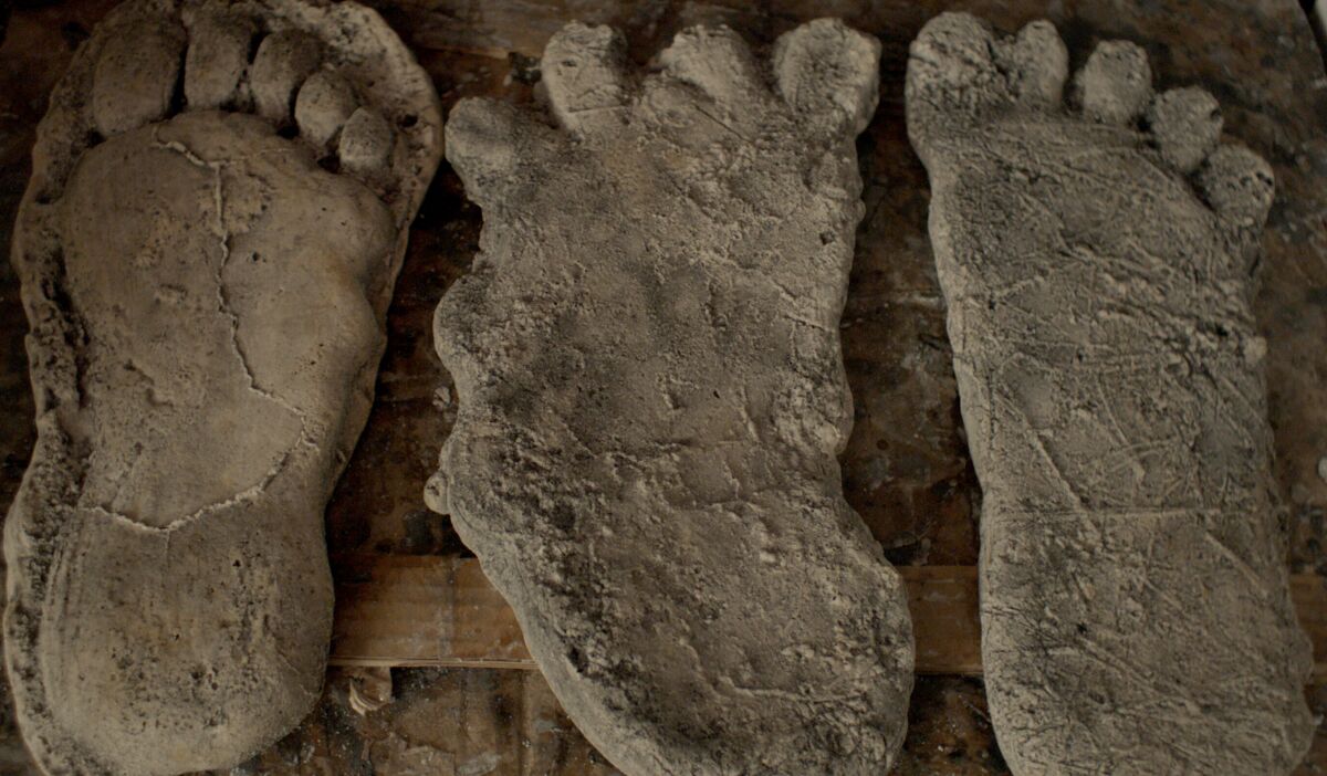 Three large Sasquatch-sized footprints