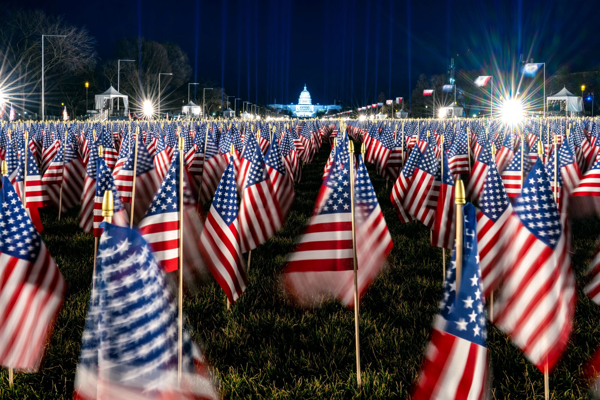 Small American flags fill a grassy field, with the U.S. Capitol far in the background.