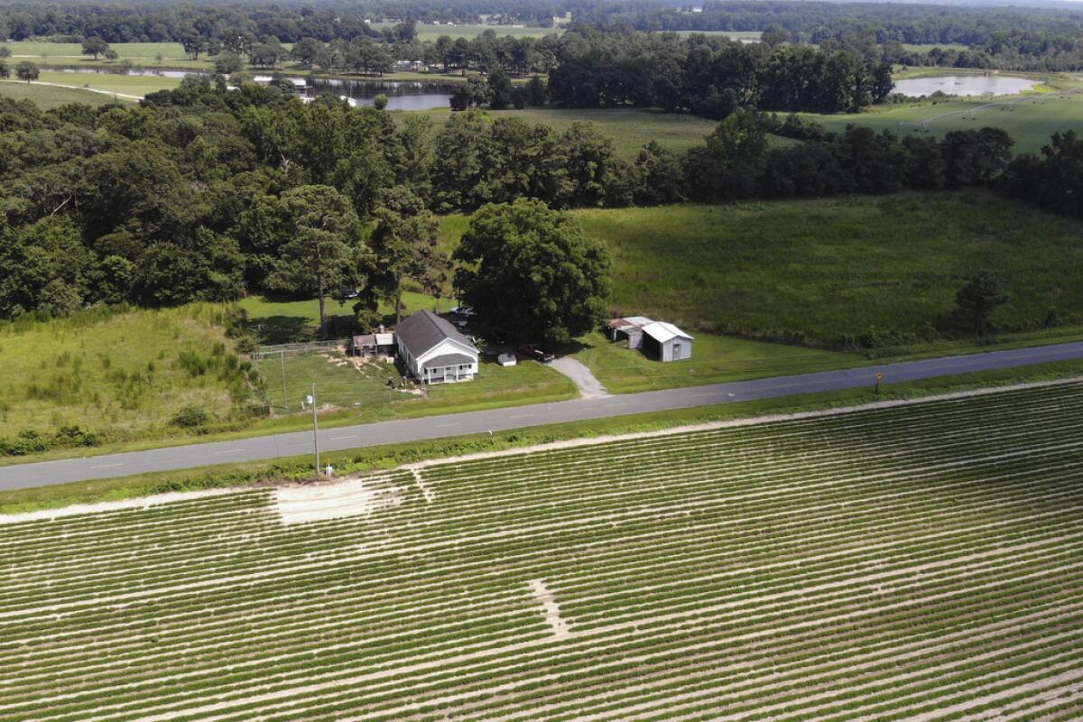 Campos de cultivo y bosques rodean la casa de Amy