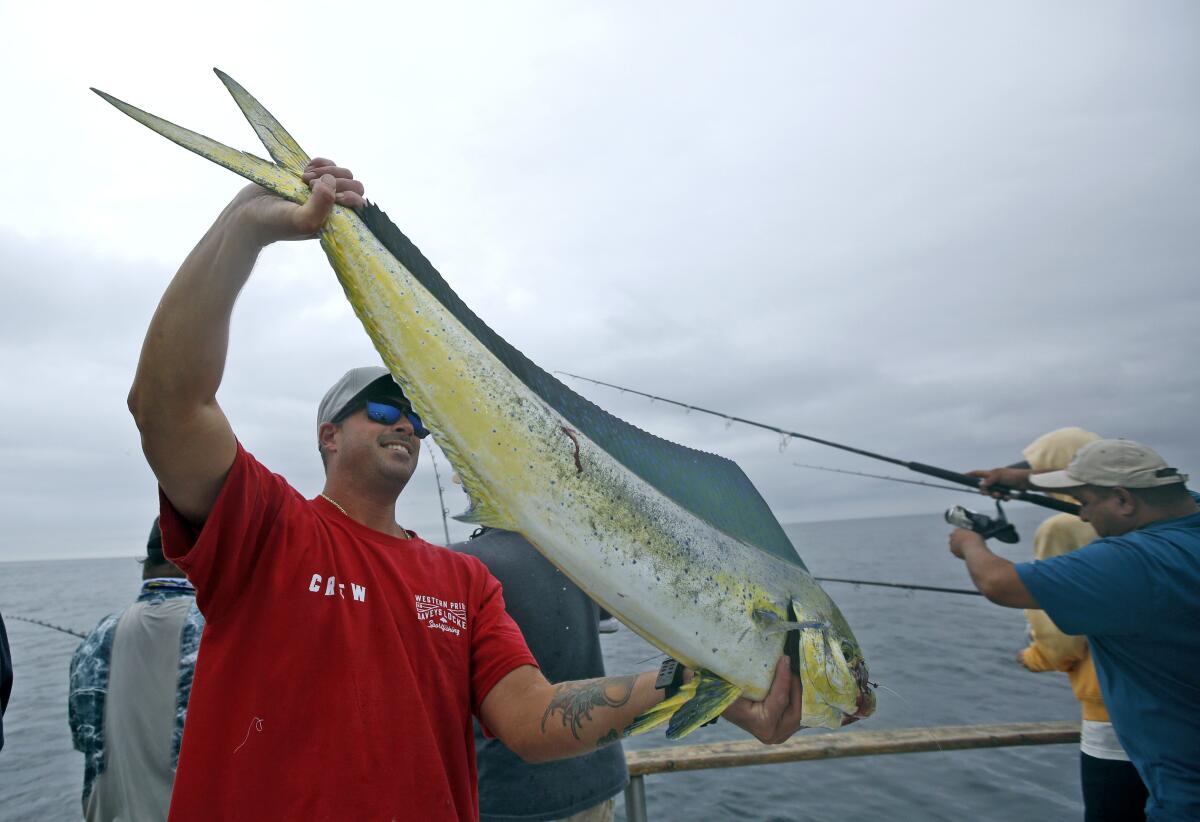 Deckhand Sheldon Riley shows the dorado fish he caught.