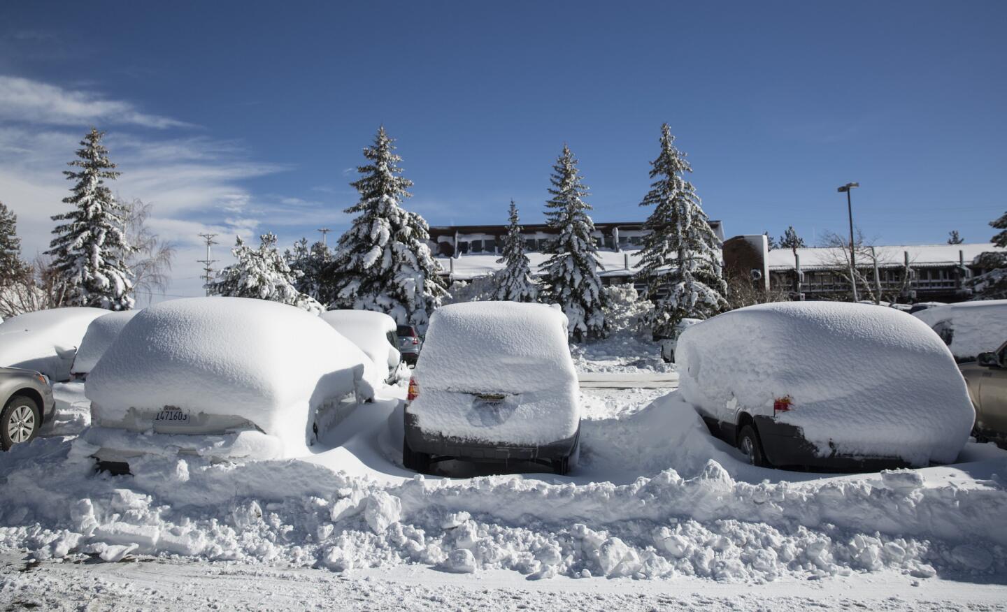 Mammoth snow