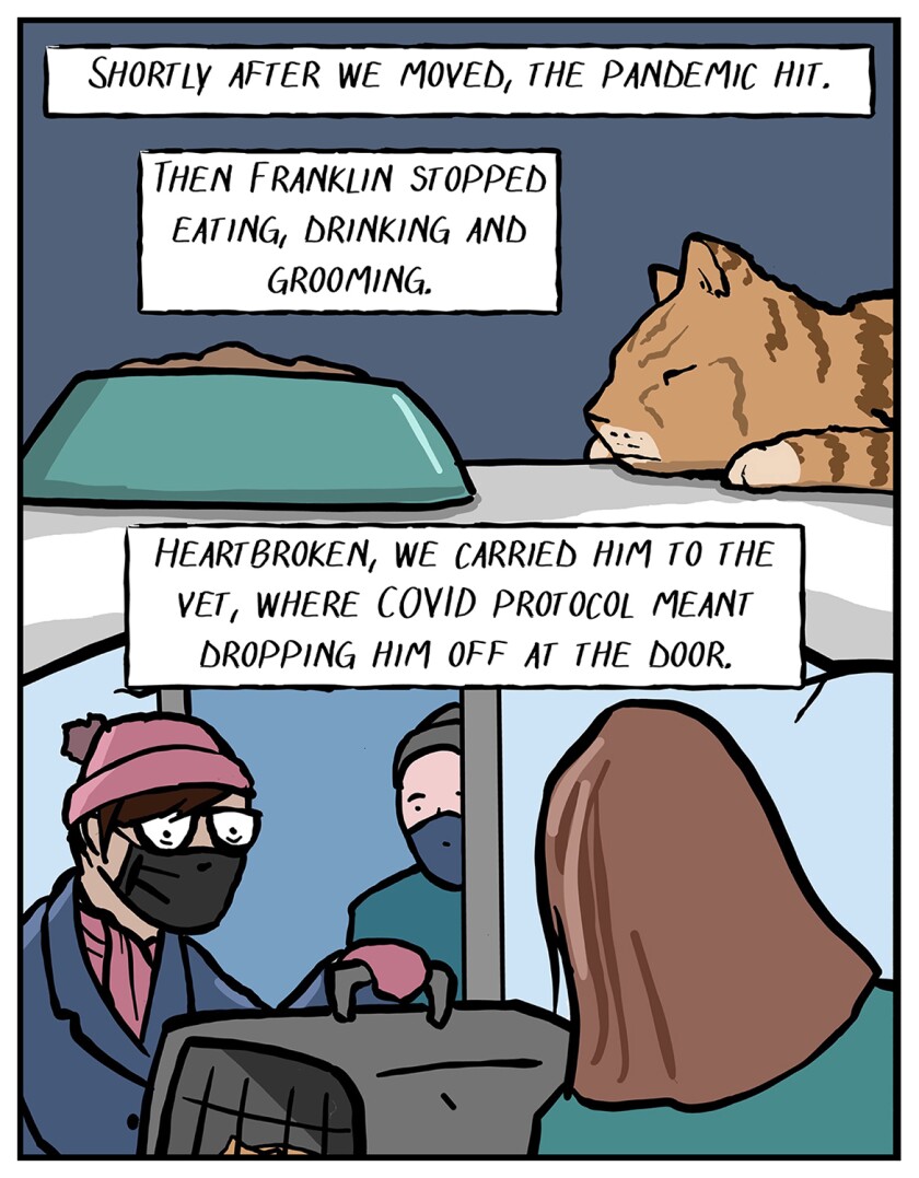Illustrations of a cat looking sick and being taken to the vet