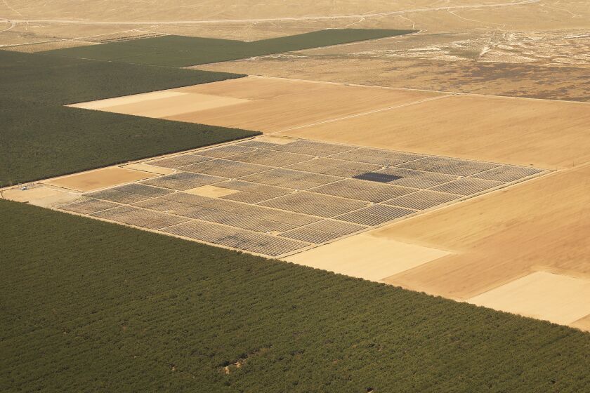 MARICOPA, CA - JULY 17, 2019 The silvery panels of solar panels stand out amid the patchwork of lush almond groves in an aerial view of 160 acres of solar developed with German developer E.ON who built 20 megawatts of solar at Maricopa Orchards later selling the project to Dominion Energy of Virginia according to senior advisor Jon Reiter. Maricopa Orchards known for almonds and citrus at the southern end of the San Joaquin Valley in Kern County which is in the process of converting acres of farmland to solar farms. A new report from the Nature Conservancy makes the case that most of the solar California will need to meet its clean energy targets should be built on agricultural land, due to the environmental sensitivity of other types of land. Building solar on farmlands could also help Central Valley farmers comply with coming restrictions on groundwater extraction. (Al Seib / Los Angeles Times)