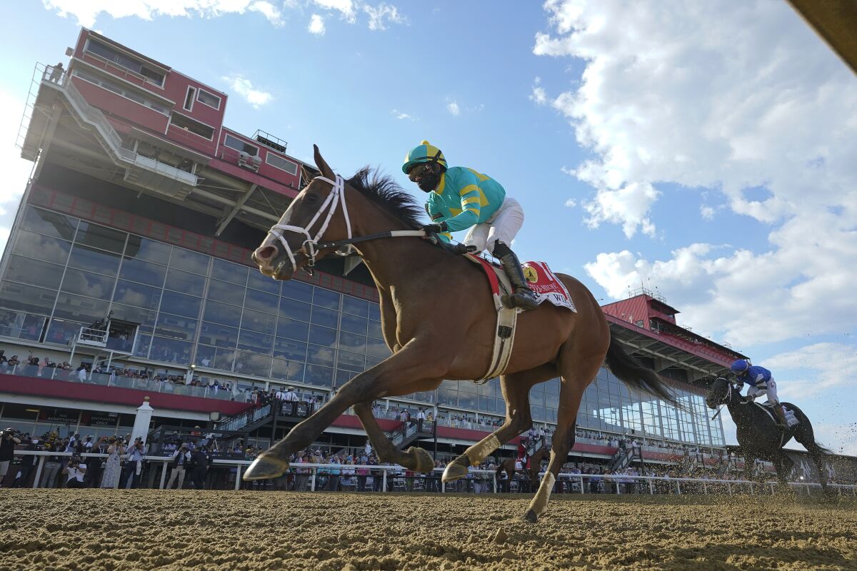 Joel Rosario atop Army Wife wins the Black-Eyed Susan Stakes horse race at Pimlico Race Course, Friday, May 14, 2021, in Baltimore. (AP Photo/Julio Cortez)