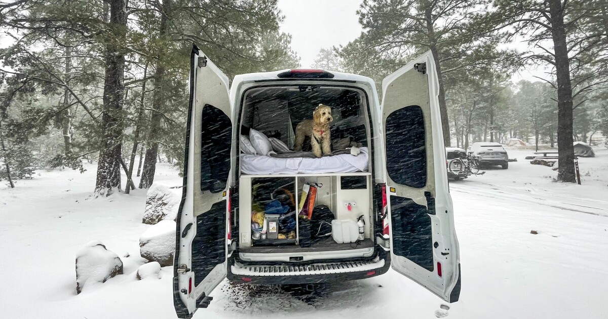 Guidelines for touring with your pet on the highway