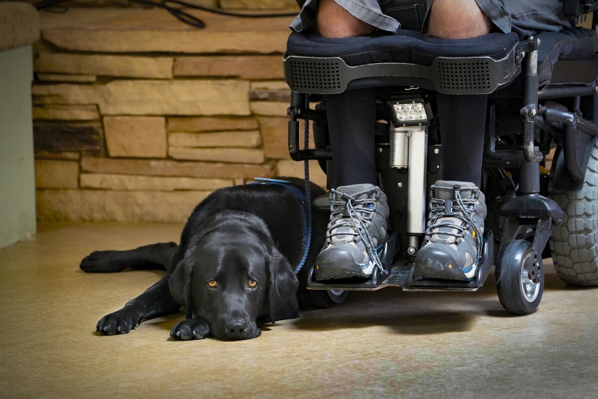 A black dog lies next to the feet of a man in a wheelchair