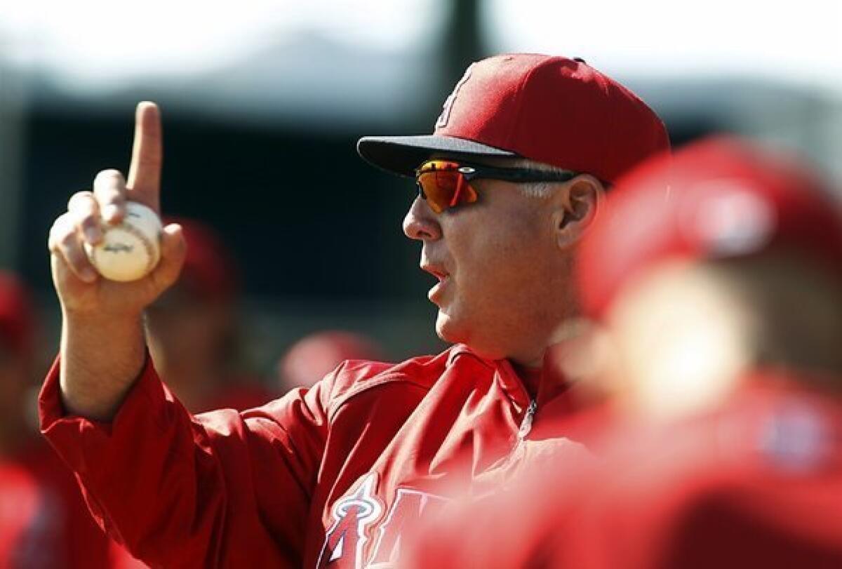 Angels Manager Mike Scioscia runs a drill during a spring workout last month.