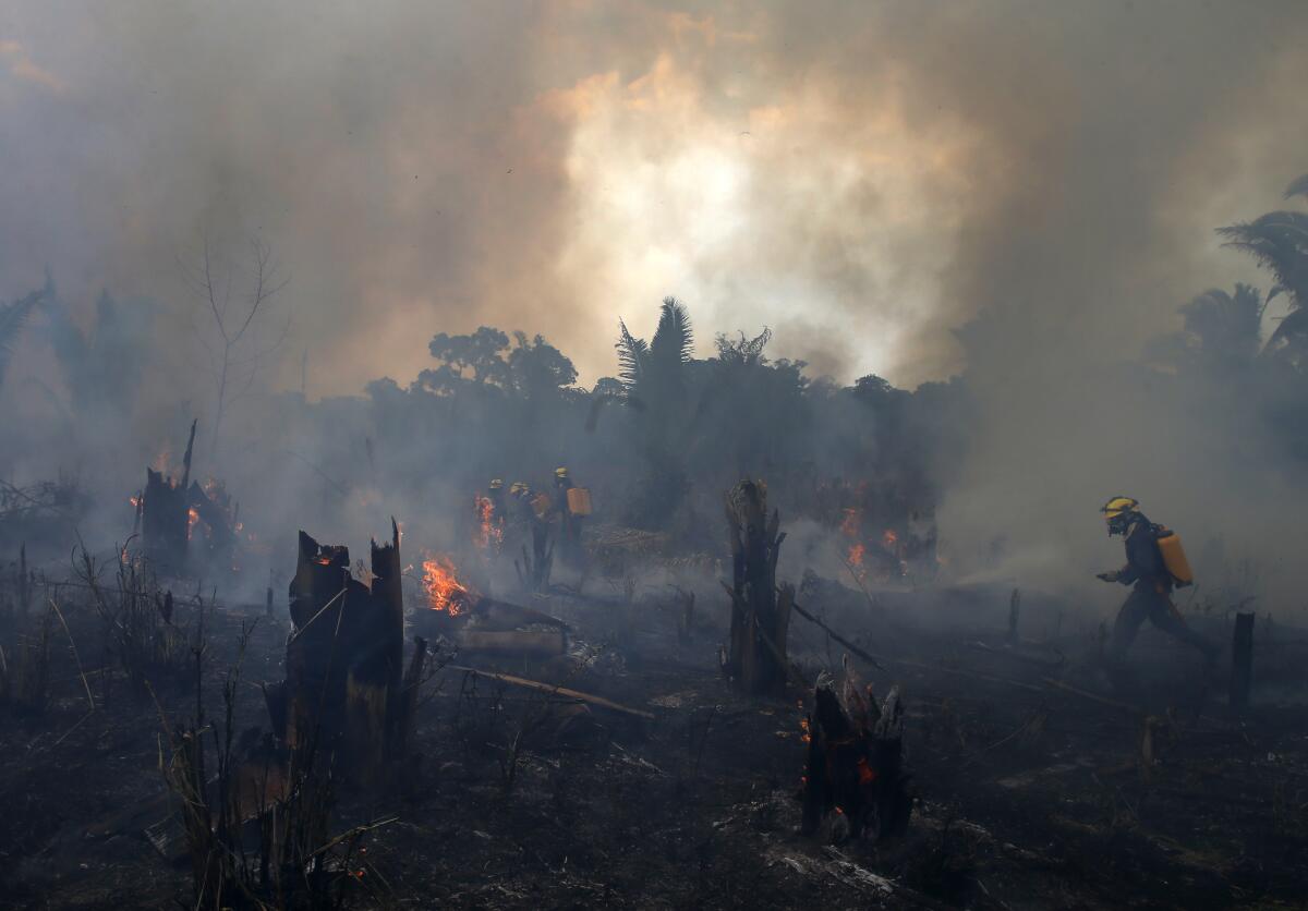 Brigadas antiincendios luchan contra el fuego en Apui, en el estado de Amazonas, Brasil