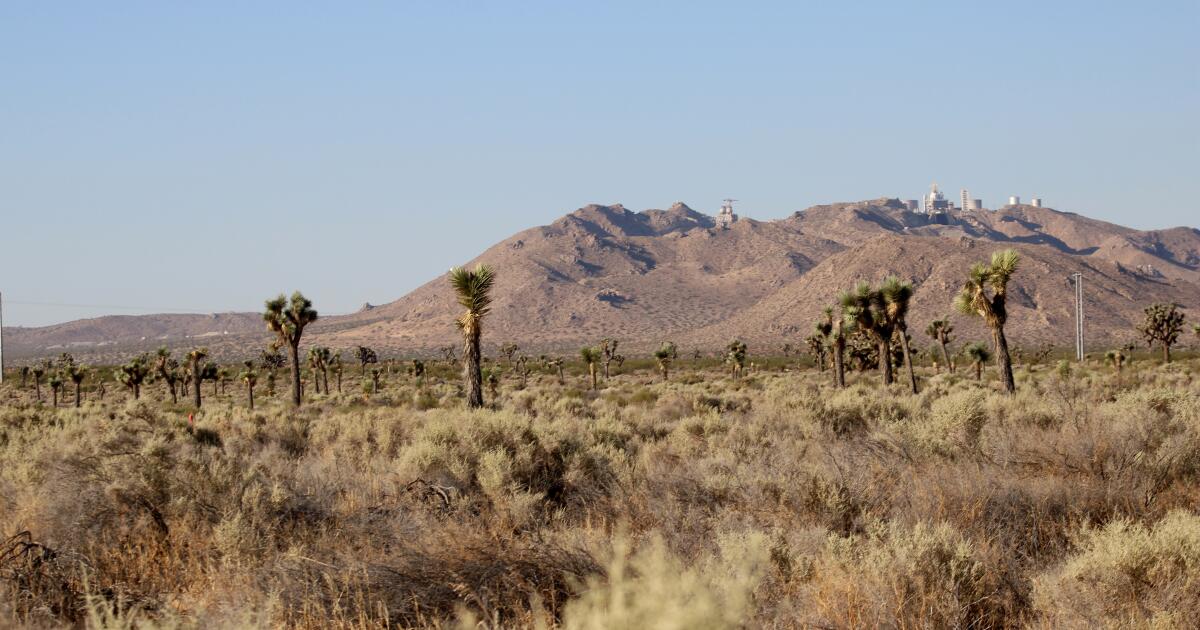 California desert town protests solar energy project