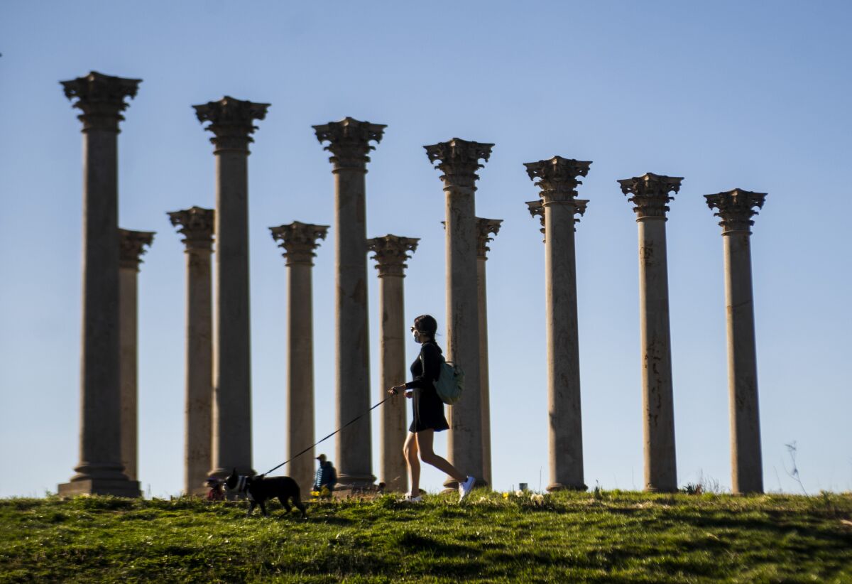 A woman walks her dog among the National Capitol Columns, at the National Arboretum.