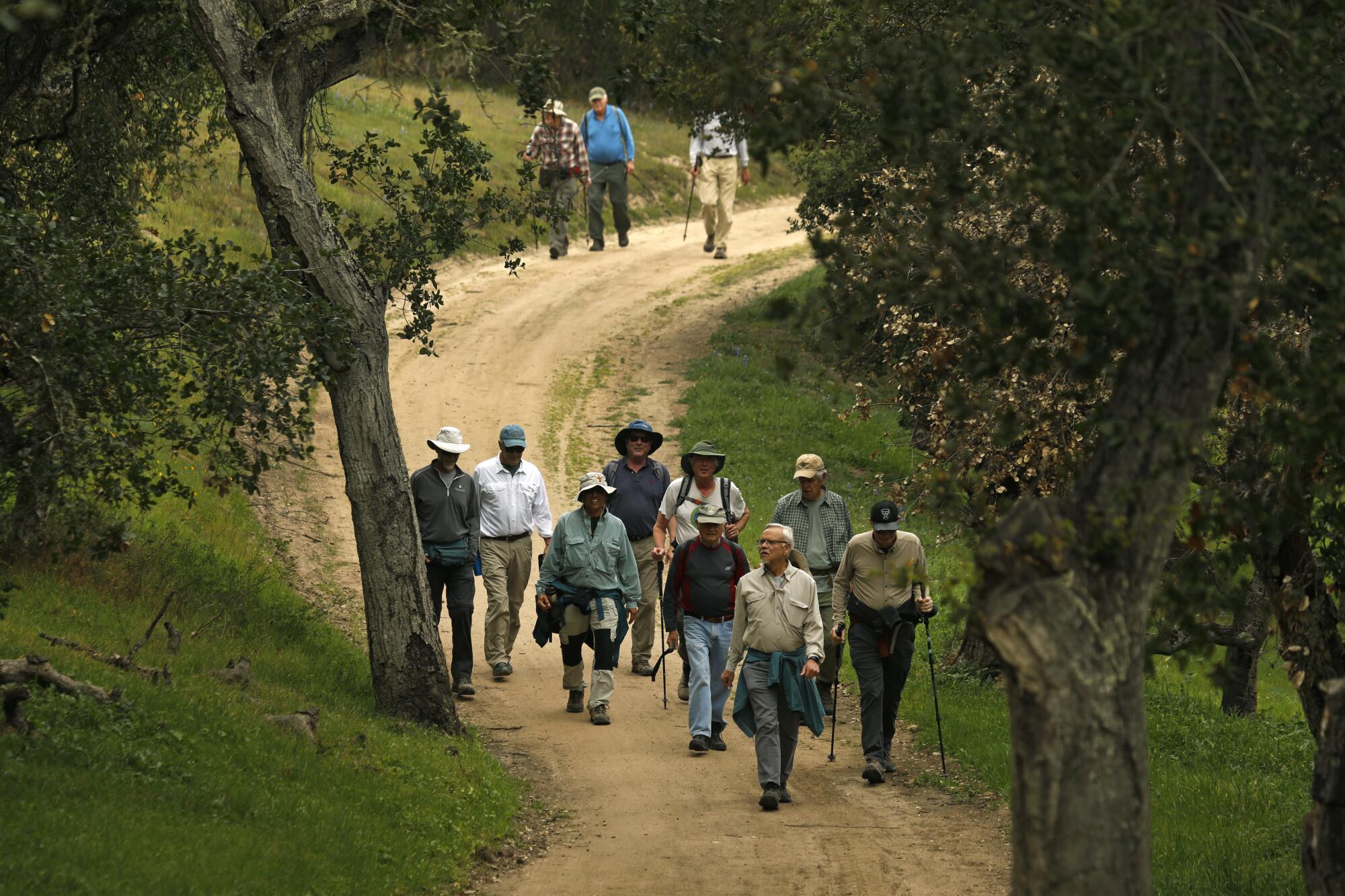 Hikers walk a trail