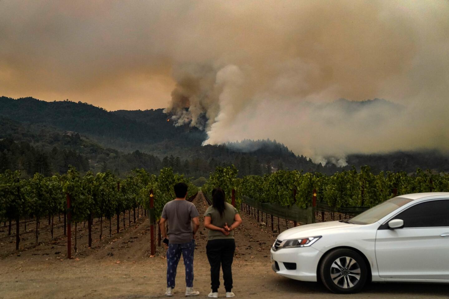 ST. HELENA, CA - SEPTEMBER 28: The Glass Fire in Napa County burns on a mountainside with the Beckstoffer Vinyards in the foreground on Monday, Sept. 28, 2020 in St. Helena, CA. (Kent Nishimura / Los Angeles Times)