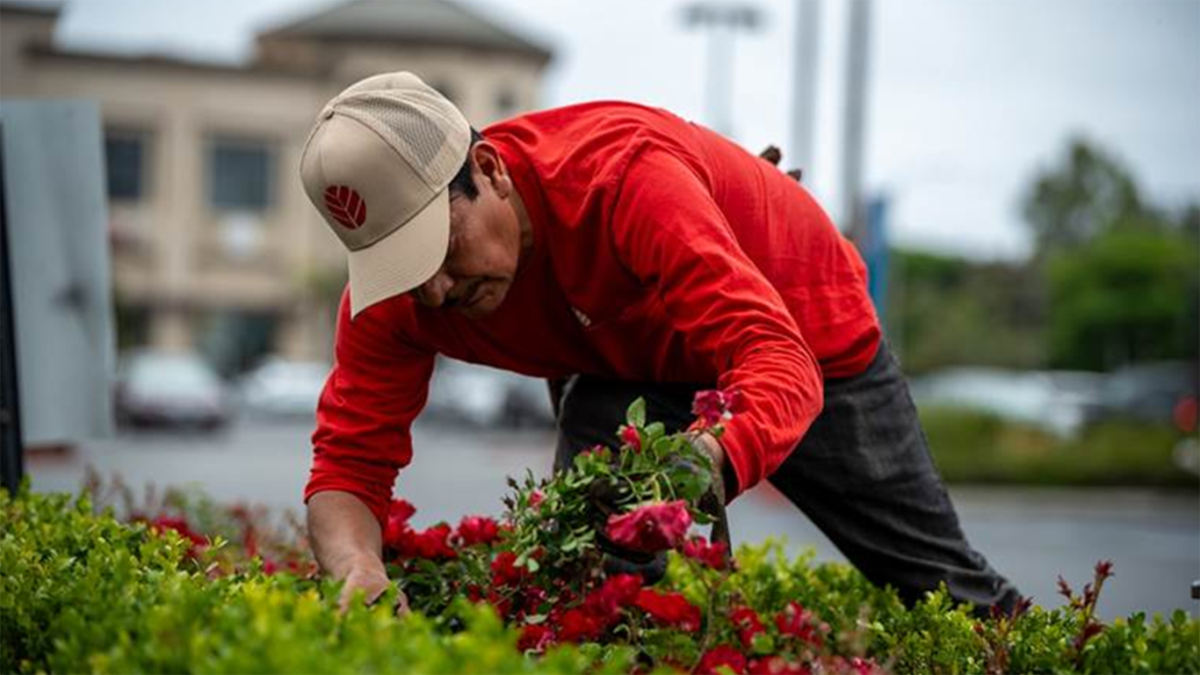 Gentry Landscaping