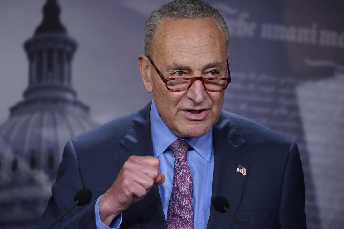 Senate Majority Leader Charles E. Schumer speaking with his fist clenched