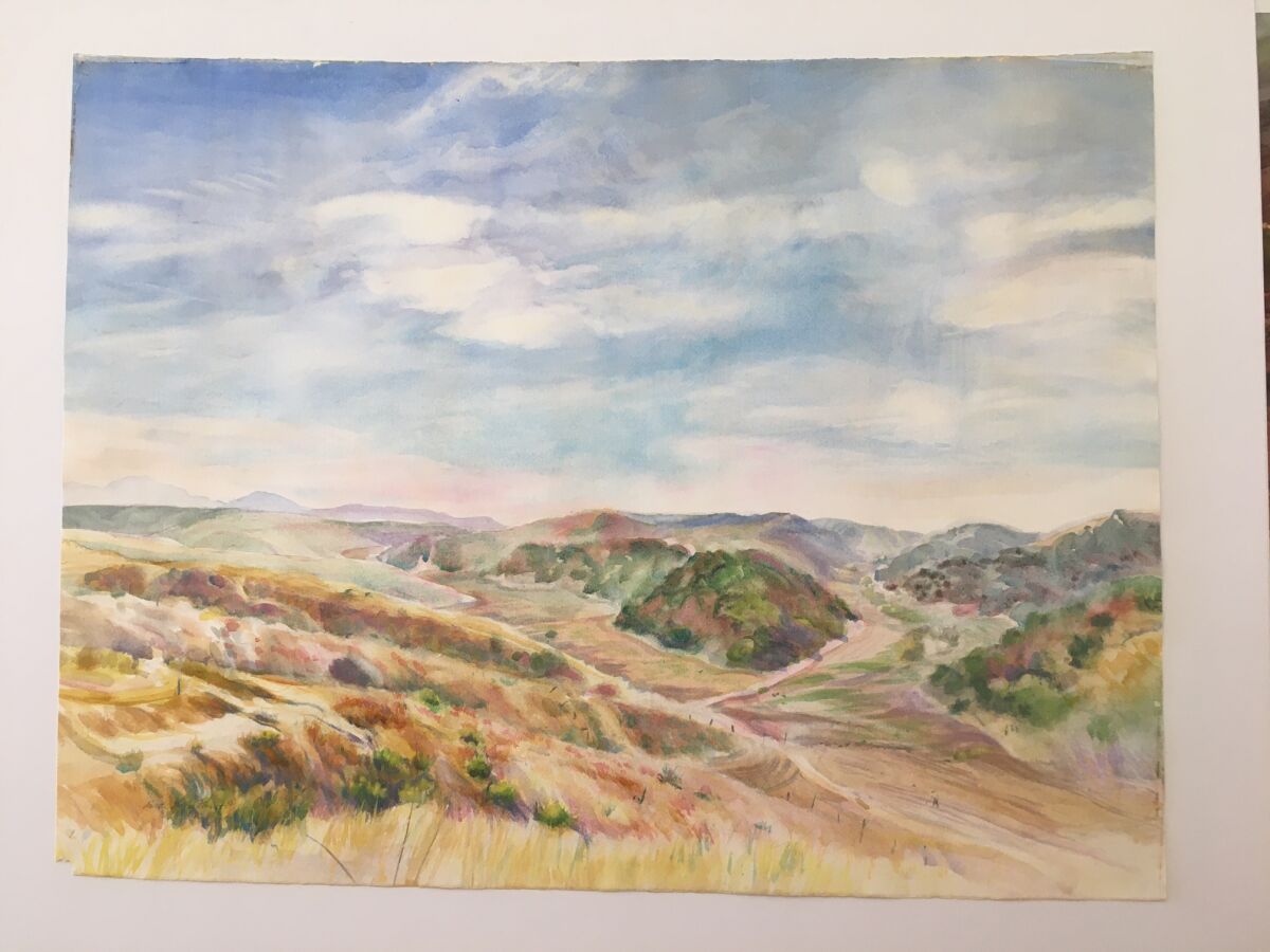 A view from atop Del Mar Mesa by artist Annette Paquet.
