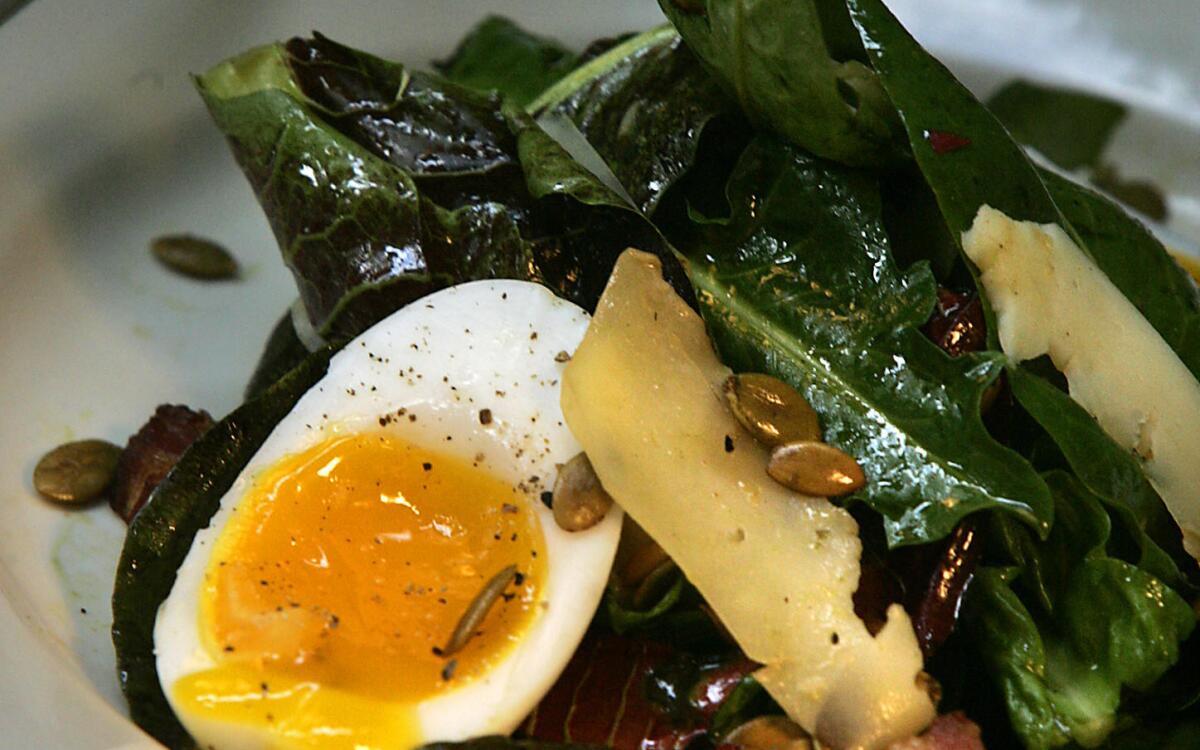 Warm Treviso radicchio and dandelion salad with soft-cooked egg