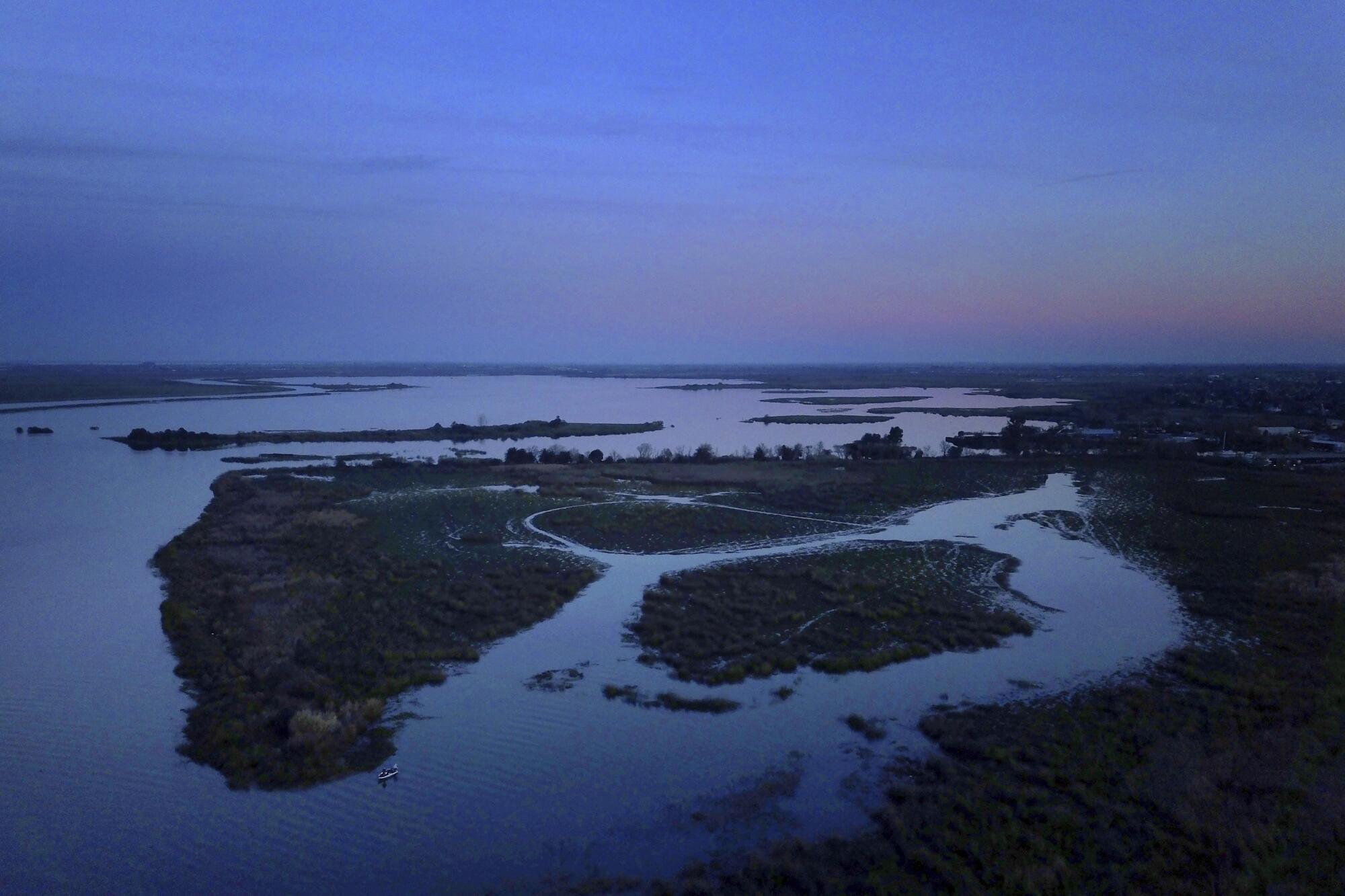 A wetland in twilight.