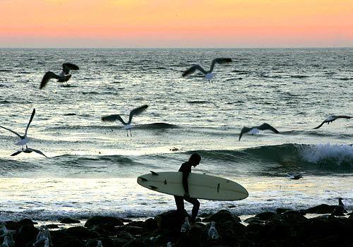 Surfers, like this one at County Line, got a preview of spring today as warm temperatures around the Southland made the January cold snap a distant memory.