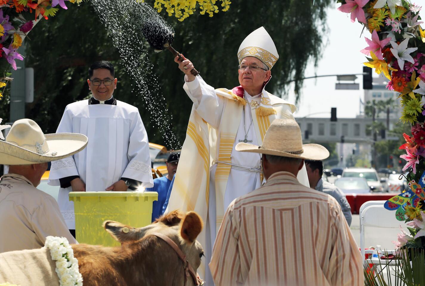 Los Angeles Archbishop Jose Gomez blesses the animals during the Blessing of the Animals at Placita Olvera