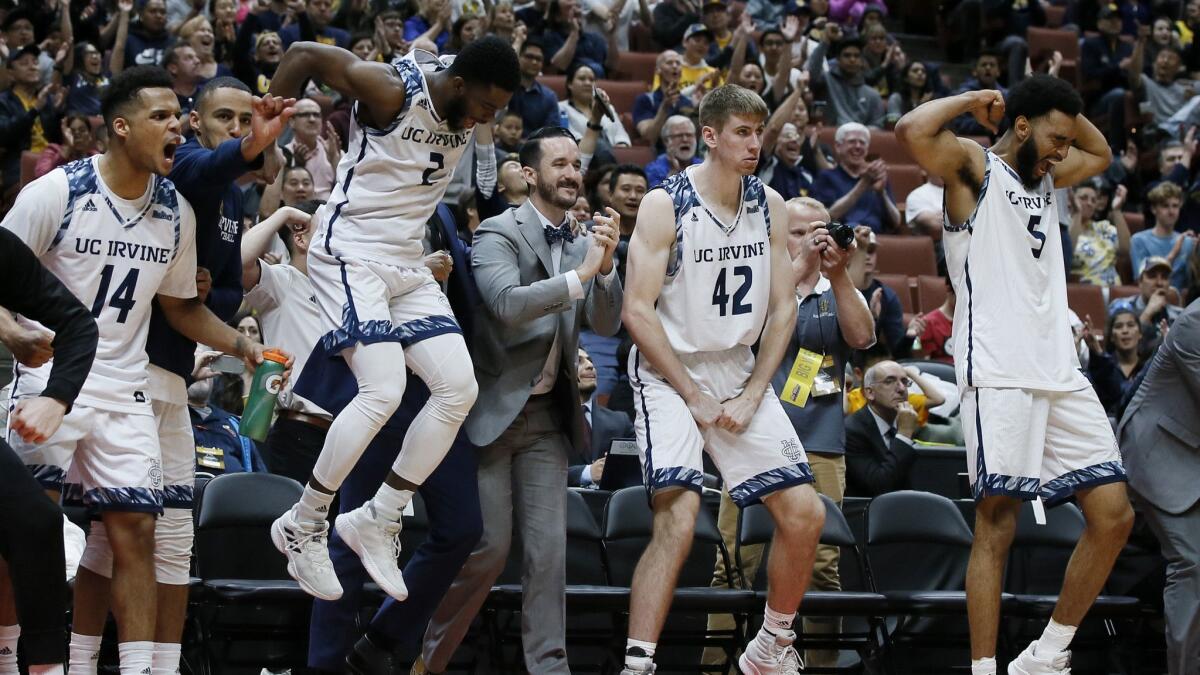 UC Irvine players (from left) Evan Leonard, Max Hazzard, Tommy Rutherford and Jonathan Galloway celebrate in the final seconds of the Anteaters' victory over Cal State Fullerton in the Big West men's tournament championship game in Anaheim on March 16, 2019.