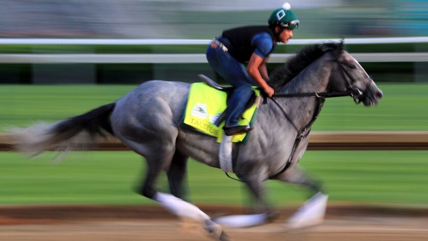 Tacitus biegnie podczas porannych treningów w Churchill Downs 2 maja.