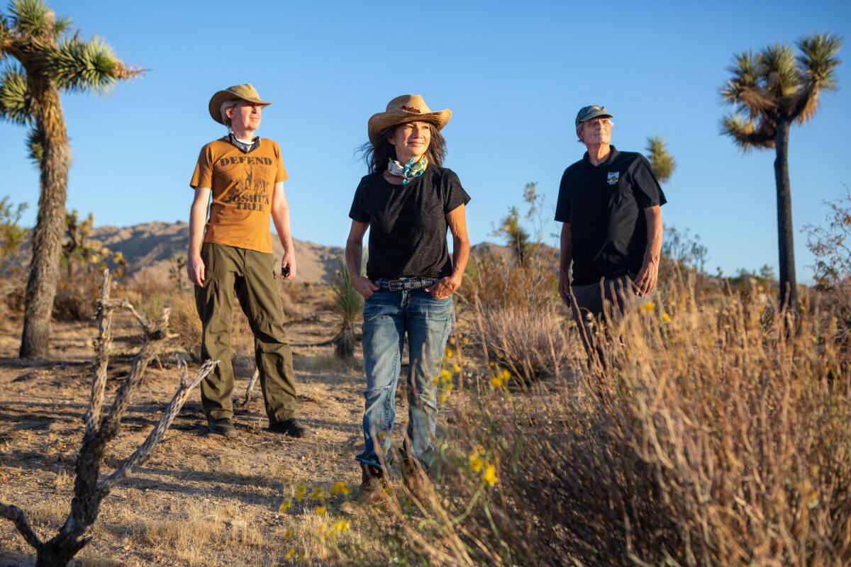 Brendan Cummings  surveys an area where Joshua trees are facing extinction