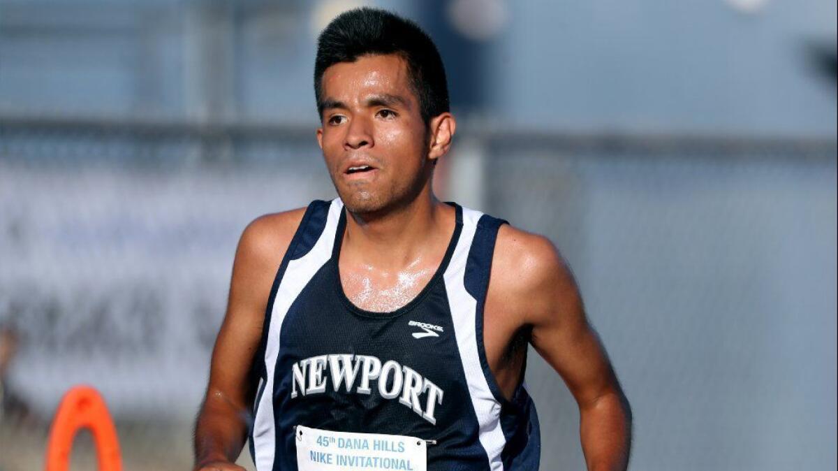 Newport Harbor senior Alexis Garcia runs in the invitational race of the Dana Hills Invitational on Sept. 22. He placed second in the boys' extra-large school division of the Clovis Invitational on Saturday.