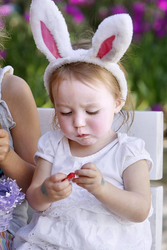 Photo Gallery: Crescenta-Canada Family YMCA's annual Easter Egg Hunt
