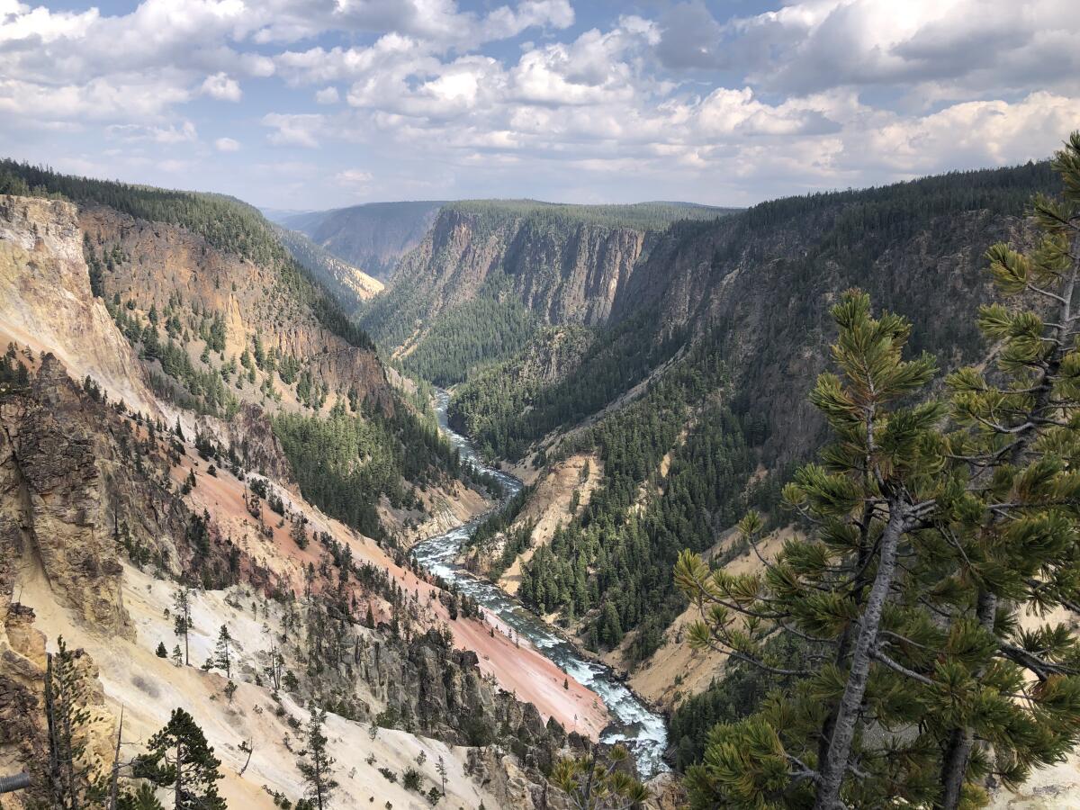 The Yellowstone River carved its own Grand Canyon.