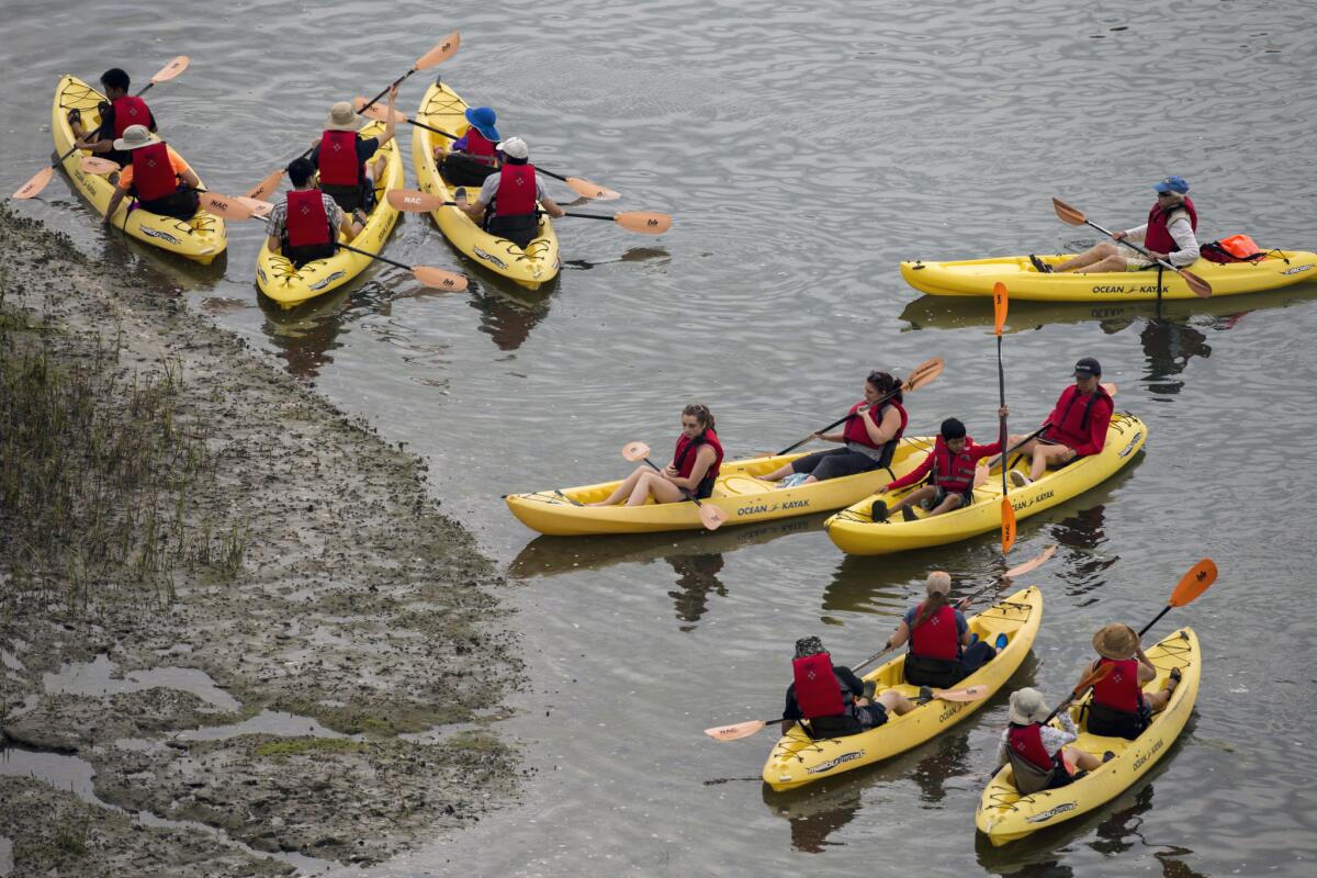 Betsy Flynn, right in blue cap, a volunteer nature guide, takes kayakers on a Newport Bay Conservancy tour of Upper Newport Bay State Marine Conservation Area.