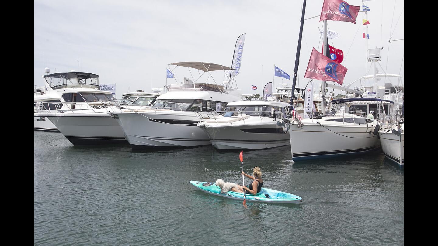 Rhonda Schneider, with her dog Casey, uses her kayak to view several cruisers on display the 2017 Newport Boat Show in Lido Village on Thursday.