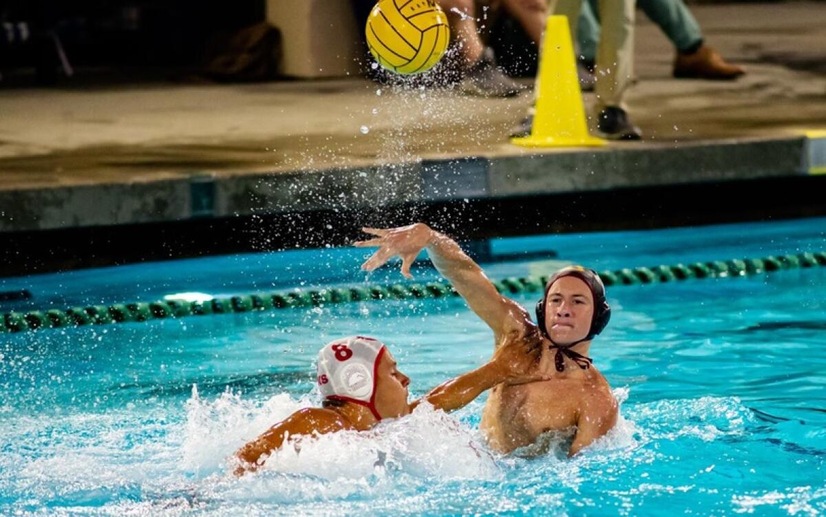 Mark Stone, the middle brother of three water polo players, is taking a leadership role for Bishop’s this year.