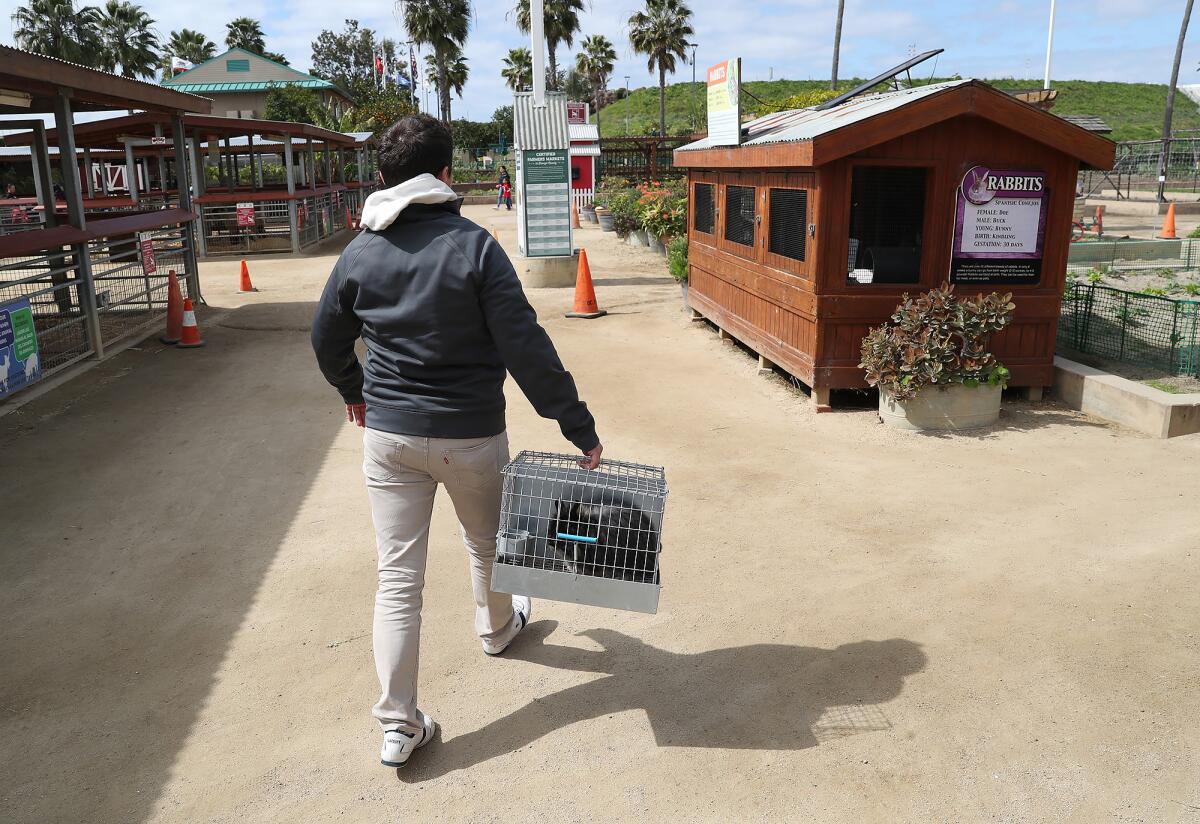 Centennial Farm class 'Urban Hops' explores the prolific benefits of ...