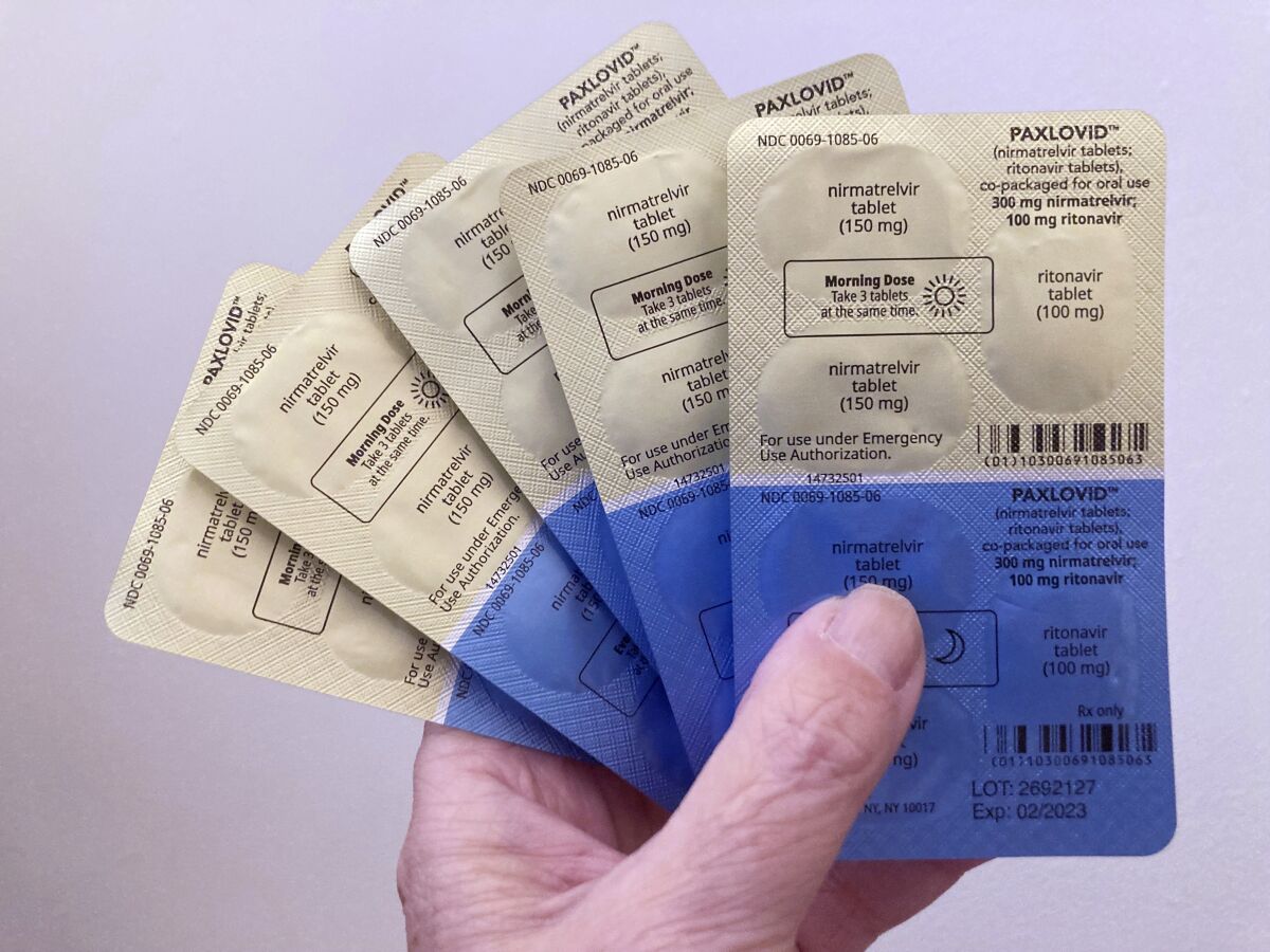 A person holds packets of the antiviral drug Paxlovid.